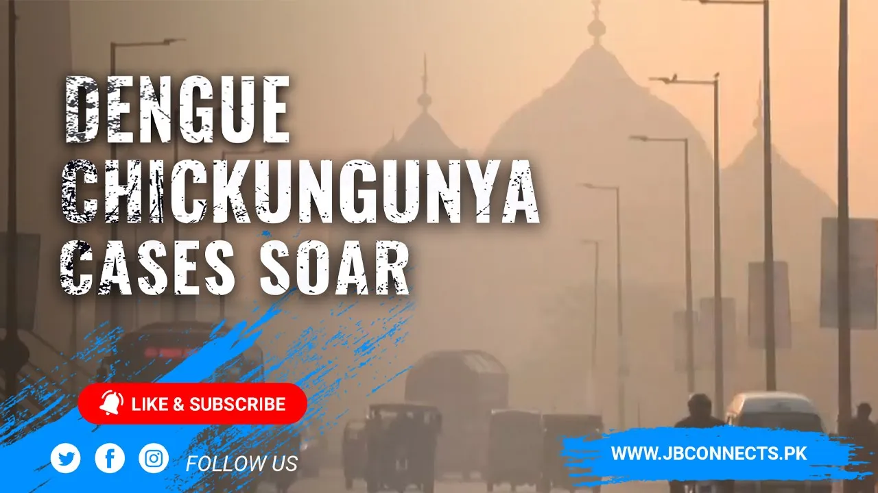 After Rain Come Mosquitoes