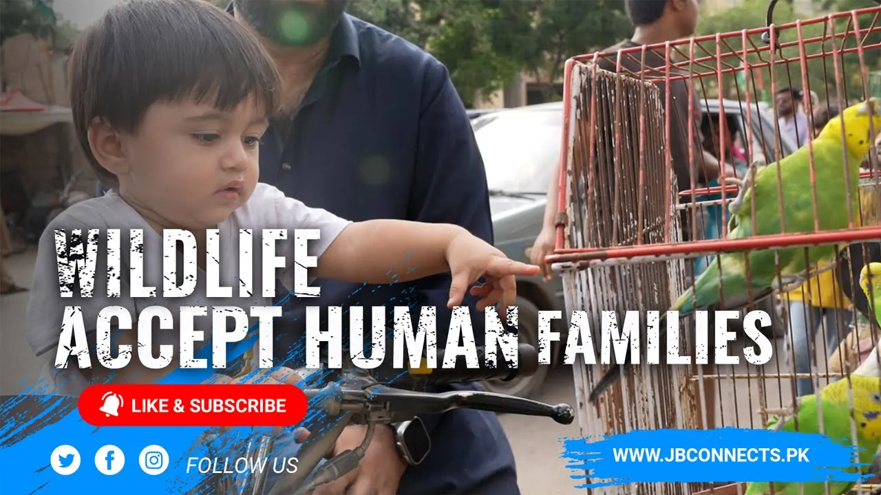 Born, Bred & Sold in Karachi