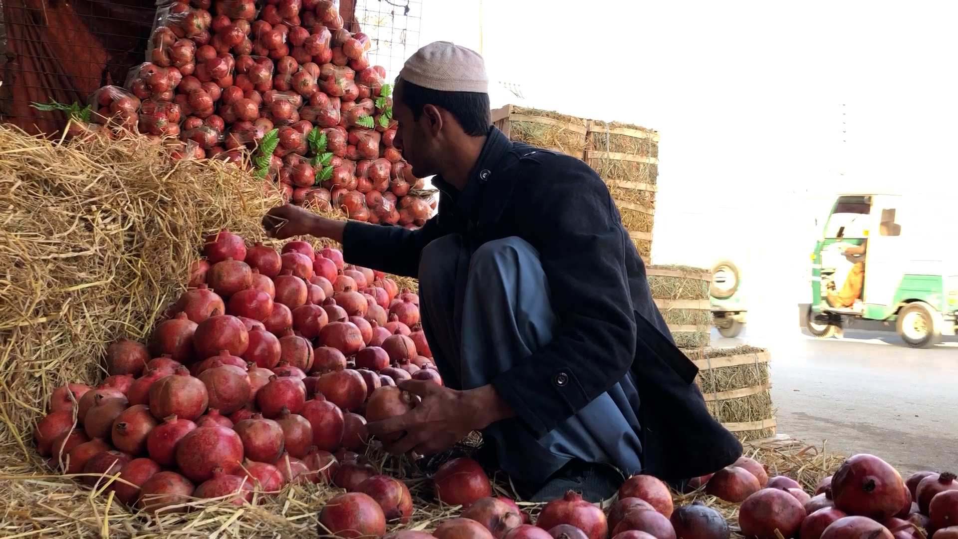 Afghan Fruit Delights Locals