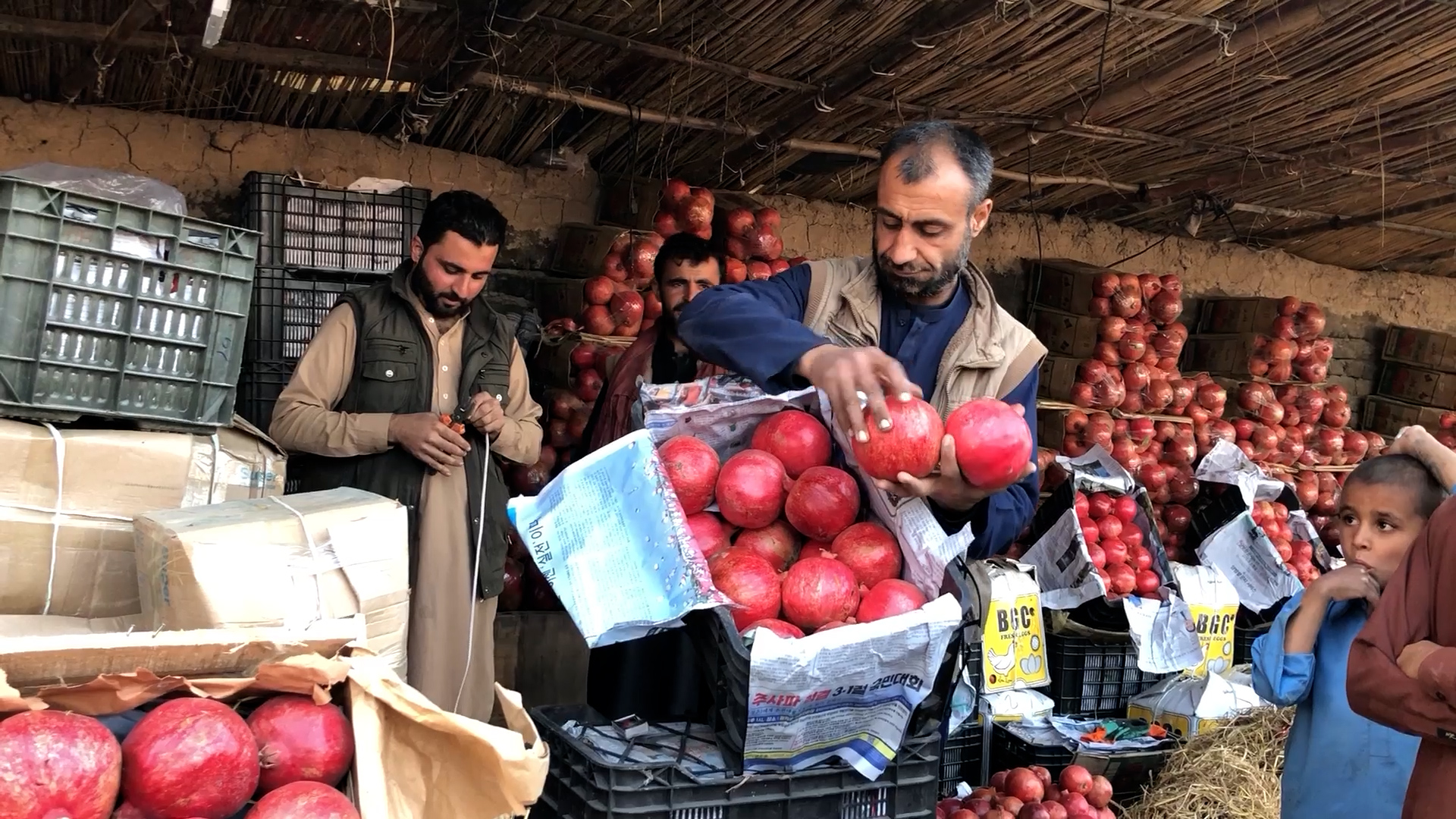 Afghan Fruit Delights Locals